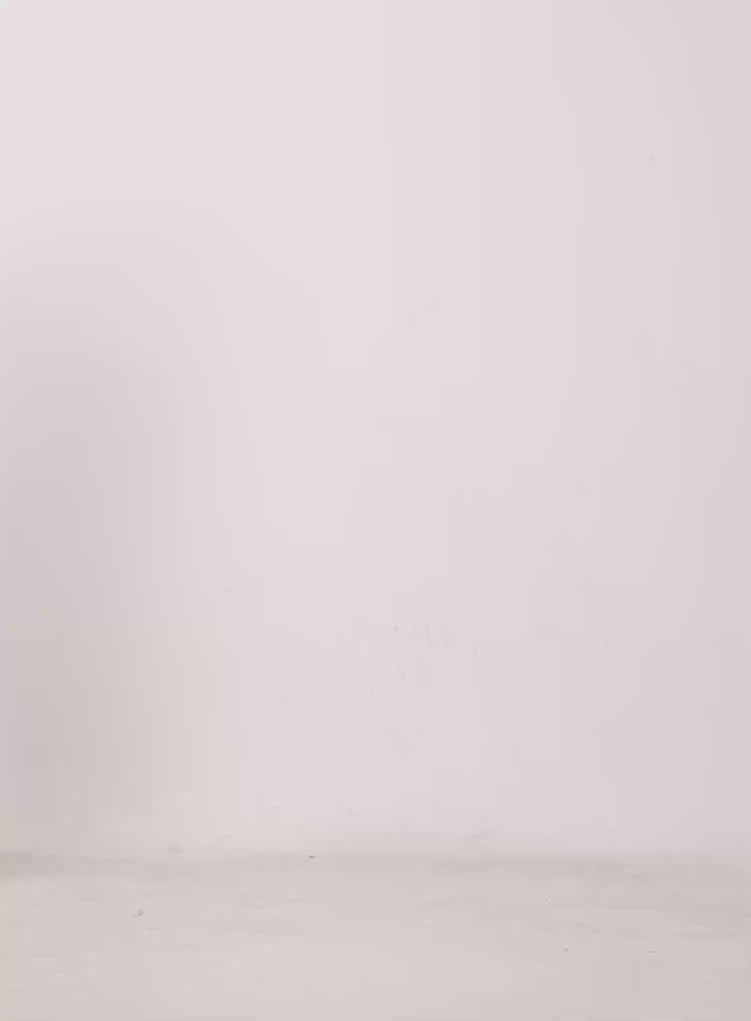 Lace Ruffle Mini Skirt CU518